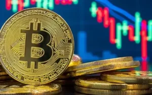 Bitcoin đại diện tiêu biểu blockchain layer 1