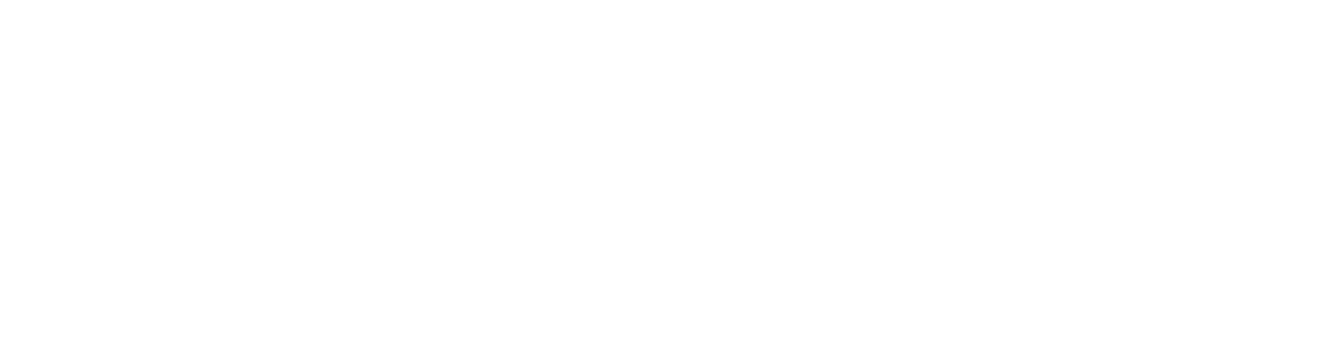 CoinGecko Logo