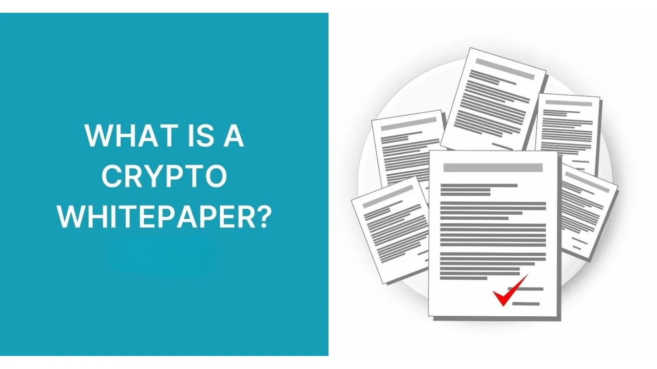 White Paper là gì? Tầm quan trọng Sách trắng trong Crypto 1 White Pape