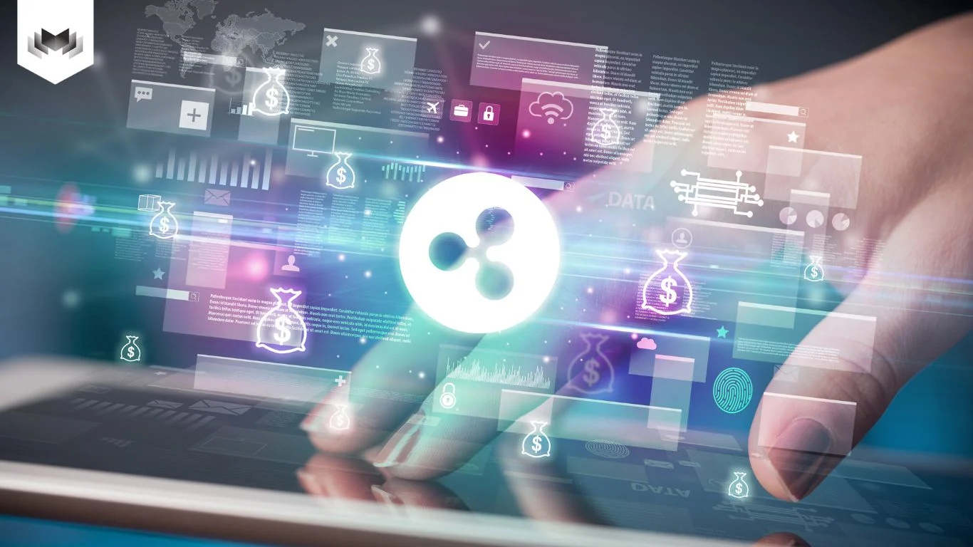 Rủi Ro Vi Phạm Bản Quyền Ảnh Ai Khi Làm Seo &Amp; Thương Mại