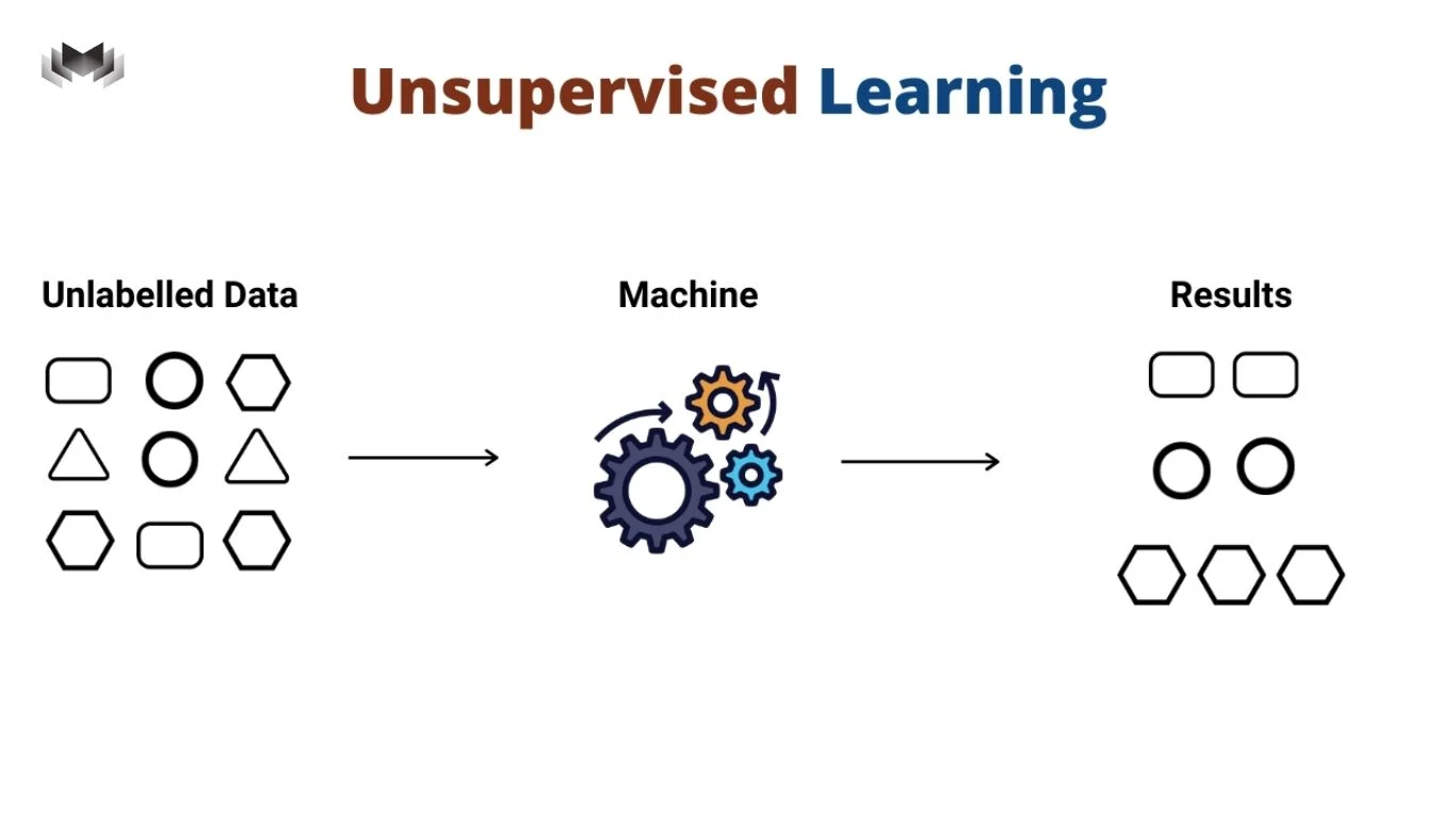 Học Không Giám Sát Là Gì?