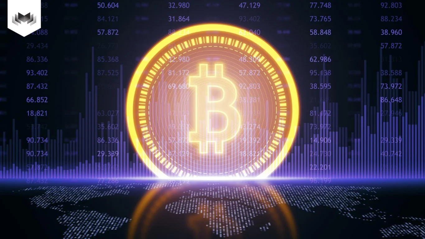 Hướng Dẫn Sở Hữu Và Lưu Trữ Bitcoin