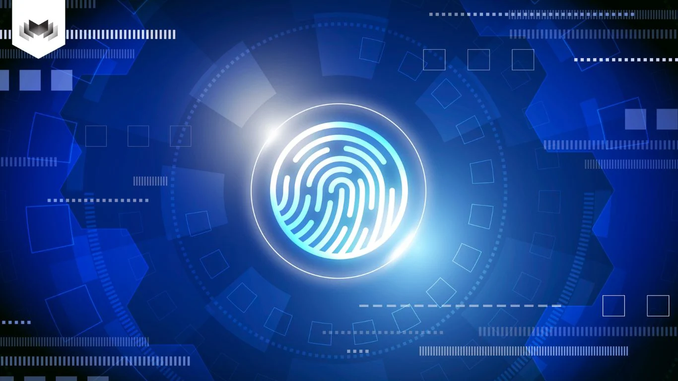 Quy Trình Triển Khai Các Thuật Toán Phát Hiện Gian Lận